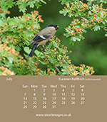 photo by Oliver Smart